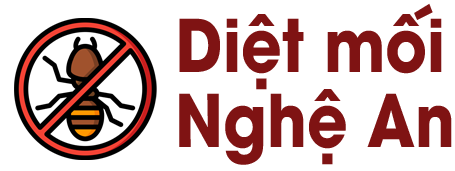 Diệt Mối Nghệ An